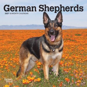 German Shepherds 2027 7 X 14 Inch (Hanging) Monthly Mini Wall Calendar