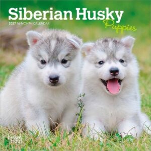 Siberian Husky Puppies 2027 7 X 14 Inch (Hanging) Monthly Mini Wall Calendar