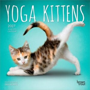 Yoga Kittens Official 2027 7 X 14 Inch (Hanging) Monthly Mini Wall Calendar