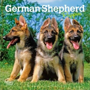 German Shepherd Puppies 2027 7 X 14 Inch (Hanging) Monthly Mini Wall Calendar