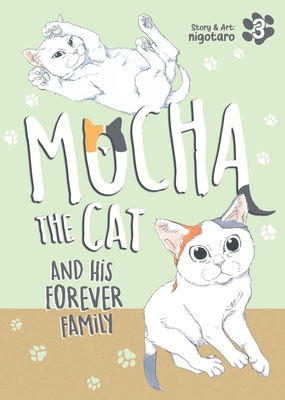 Mocha the Cat and His Forever Family Vol. 3