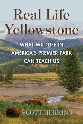 Real Life Yellowstone: What Wildlife in America's Premier Park Can Teach Us