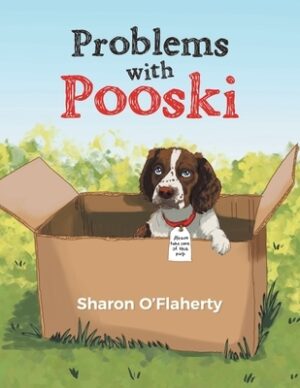 Problems with Pooski