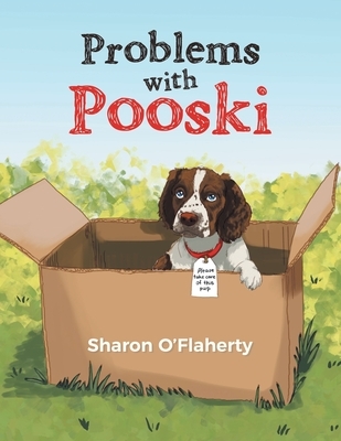 Problems with Pooski