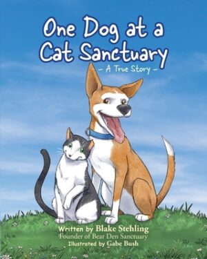 One Dog at a Cat Sanctuary