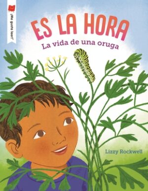 Es La Hora: La Vida de Una Oruga