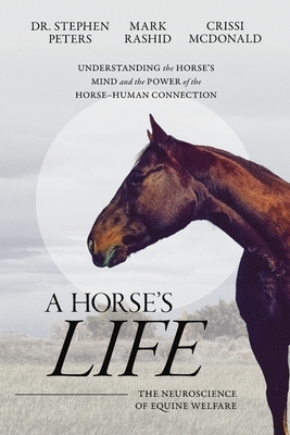 A Horse's Life: The Neuroscience of Equine Welfare