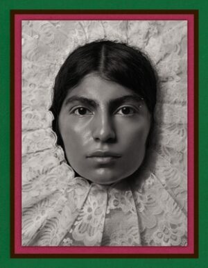 Pieter Henket: Birds of Mexico City