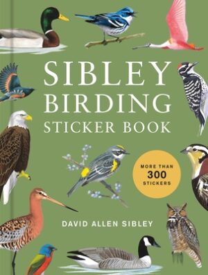 Sibley Birding Sticker Book: With More Than 300 Stickers: Stickers for Journals, Water Bottles, Laptops, Planners, and More