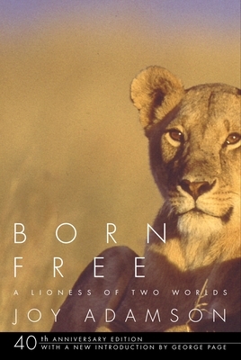 Born Free: A Lioness of Two Worlds