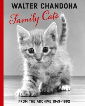 Walter Chandoha: Family Cats: From the Archive 1949-1962